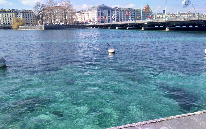 スイス出張 バーゼルワールド