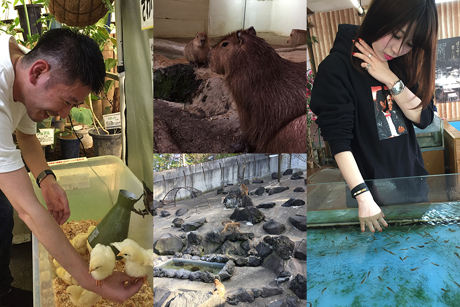 社員旅行 Bチーム