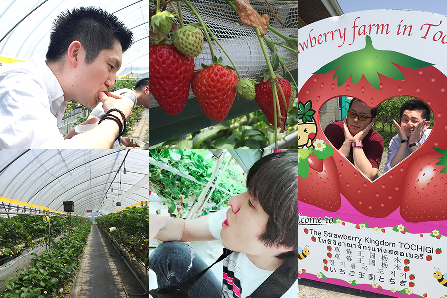 社員旅行 Bチーム